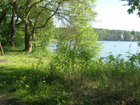 Fastenhof - Shinrin-Yoku, das „Eintauchen in die Waldatmosphäre“