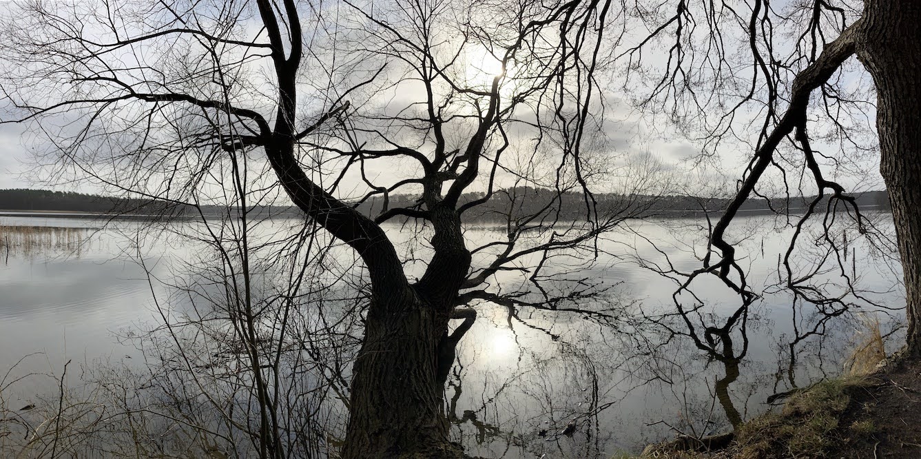 Waldbaden im Jahresübergang