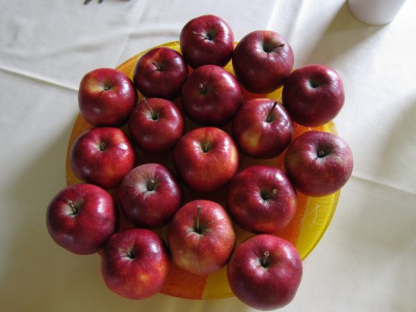 Äpfel auf einem Teller