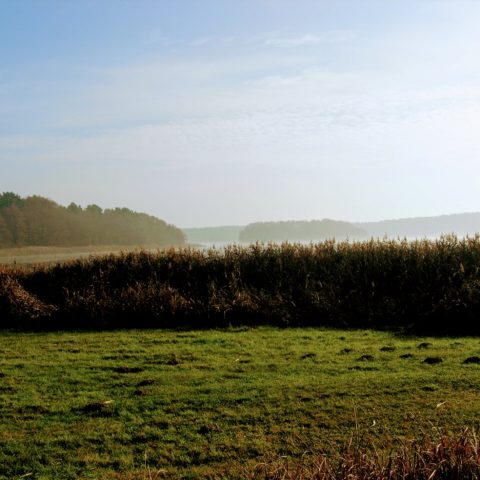 Fastenhof - Blick auf See mit leichtem Nebel