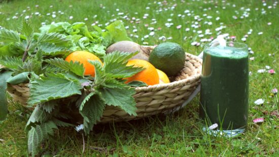 Fastenhof - Grüner Smoothie auf Wiese