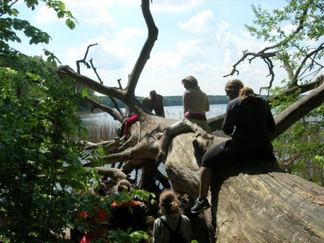 Fastenhof - Teilnehmer sitzen am See auf einem Baumstamm