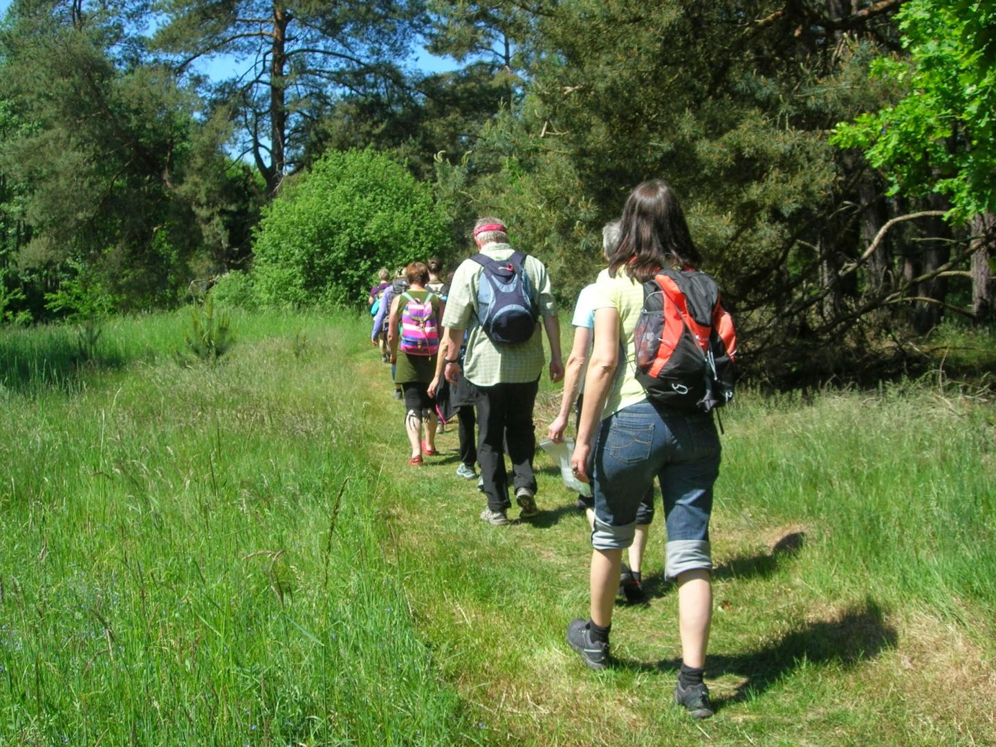 Fastenleiter nehmen Sie mit auf Fastenwanderungen
