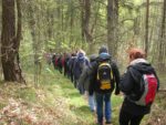 Fastenhof - Wanderung im Wald