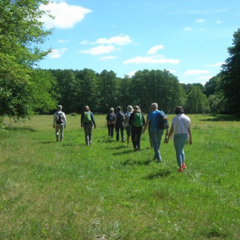 Fastenhof - Wanderung in der Natur beim Fasten-Aufenthalt